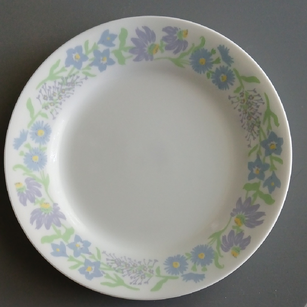 Set Of 2 Like New Corelle Starflowers Discontinued Retired Luncheon Salad Plates